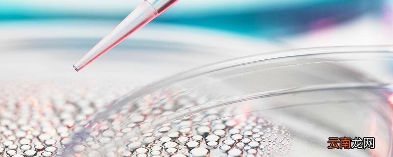 调节红细胞生成的主要体液因素是 调节红细胞生成的最主要体液因素是