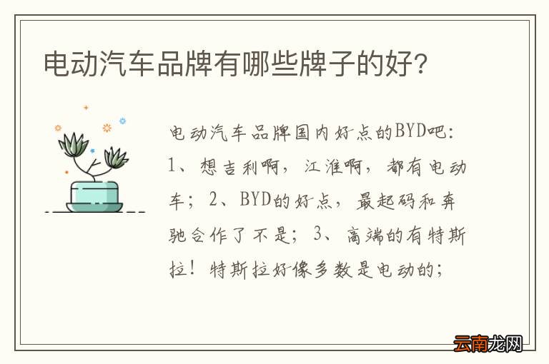 电动汽车品牌有哪些牌子的好?