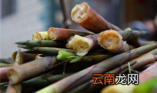 鸡汁鲜笋做法步骤 怎么做鸡汁鲜笋