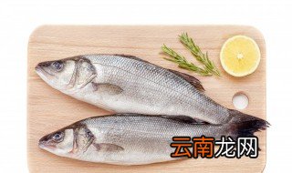 冰冻鲈鱼怎么快速解冻 冰冻鲈鱼如何快速解冻