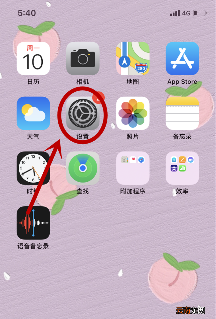 iPhone怎么解除流量限速