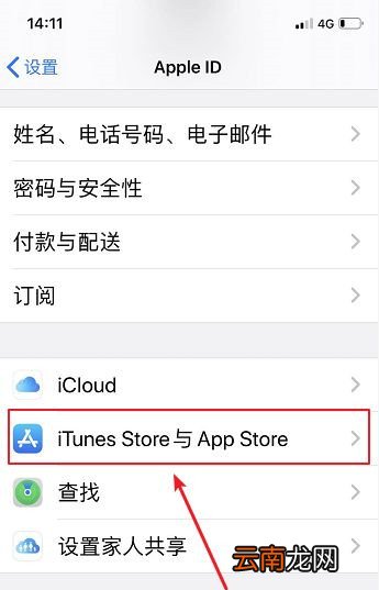 iPhone怎么解除流量限速