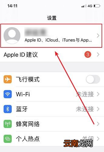 iPhone怎么解除流量限速