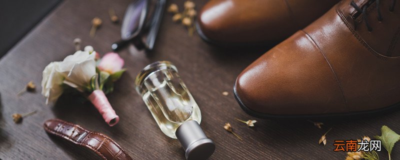 添柏岚10061和10061w有什么区别 添柏岚10061和10061w的区别是什么