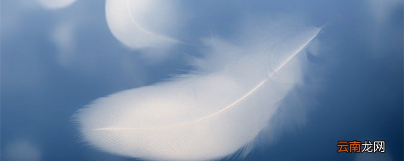 羽绒90.80.70绒的区别 羽绒90.80.70绒的区别是什么