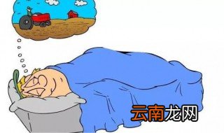 梦见大蟒蛇是什么征兆 梦见大蟒蛇暗示什么