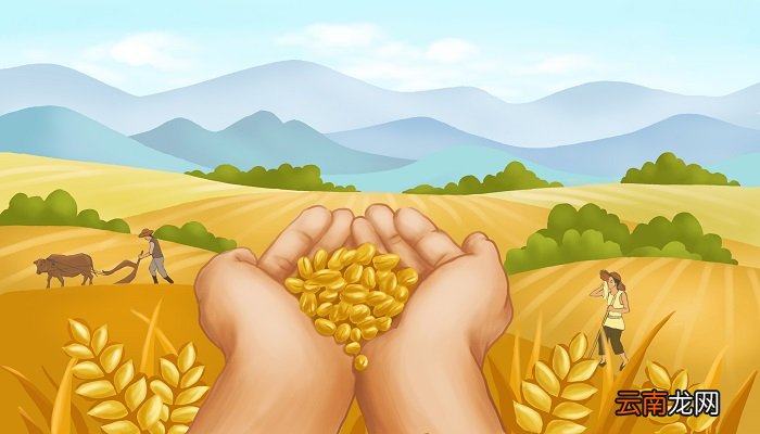 保护庄稼的益虫有哪些 吃害虫保护庄稼的益虫