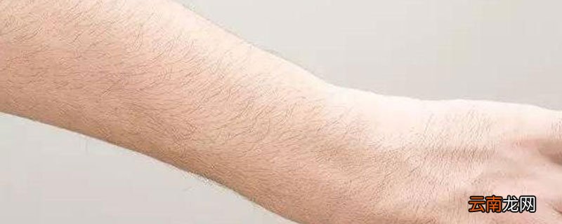 去手毛的永久小窍门 脱手毛小妙招