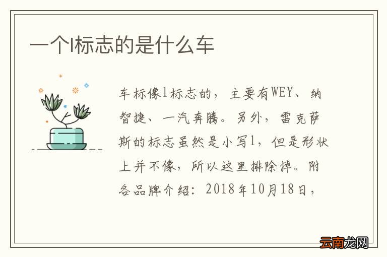 一个l标志的是什么车