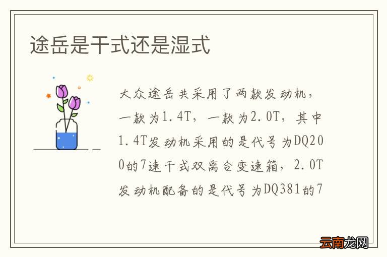 途岳是干式还是湿式