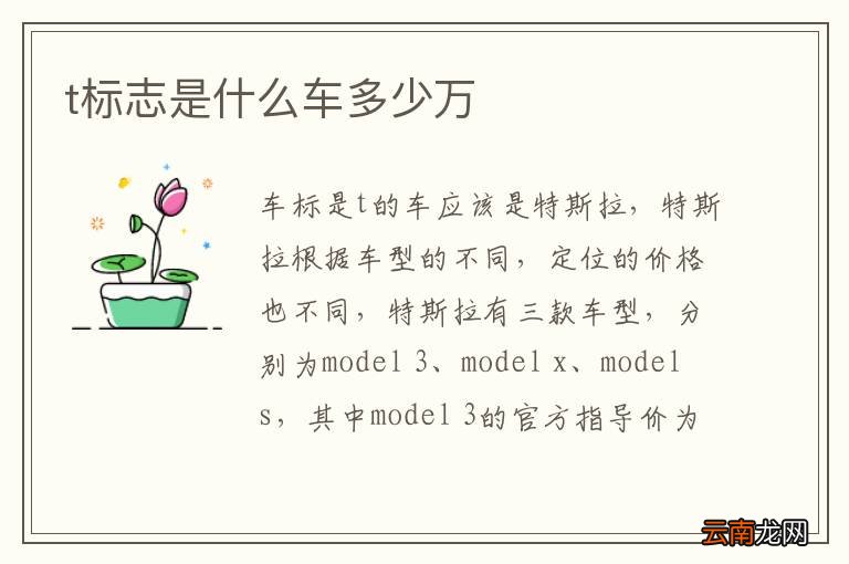 t标志是什么车多少万