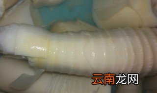 鸡皮笋衣制作方法 鸡皮笋衣制作方法是什么