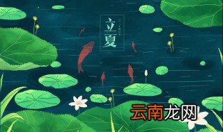 立夏必吃八种美食 你知道立夏必吃八种美食吗