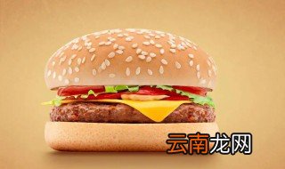 汉堡和汉堡包有什么区别 汉堡和汉堡包的区别有哪些