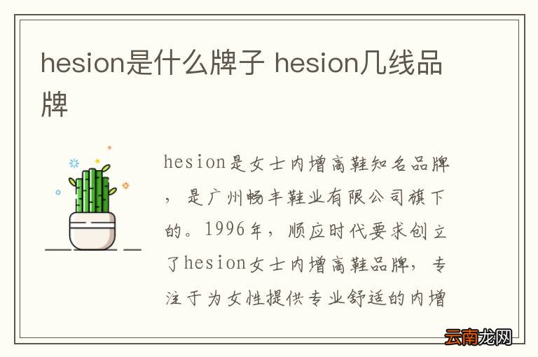 hesion是什么牌子 hesion几线品牌