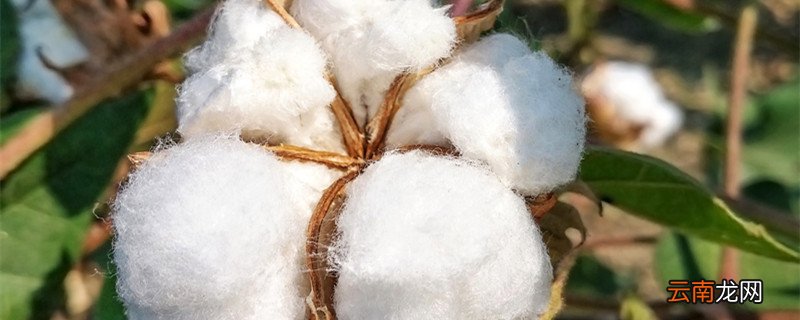 云朵绒是什么面料 云朵绒是啥面料