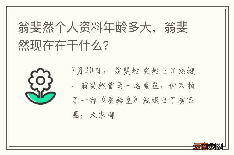 翁斐然个人资料年龄多大，翁斐然现在在干什么？