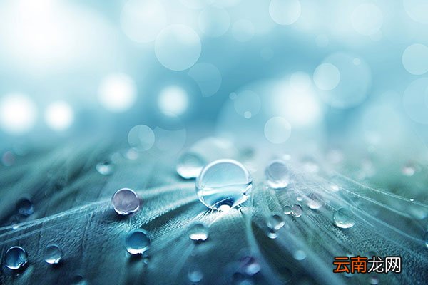 处暑之后是什么节气 处暑后面一个节气是什么