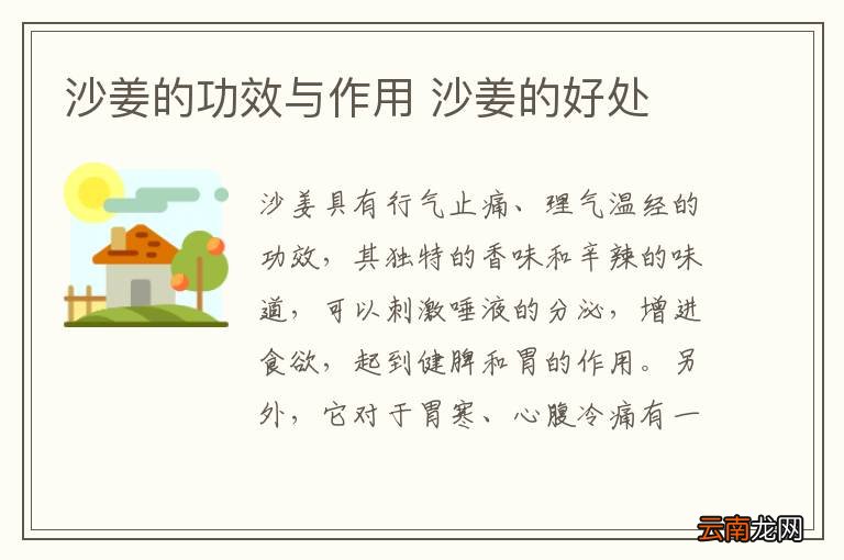 沙姜的功效与作用 沙姜的好处