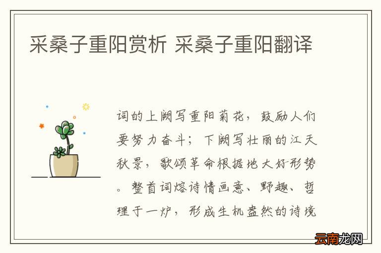 采桑子重阳赏析 采桑子重阳翻译