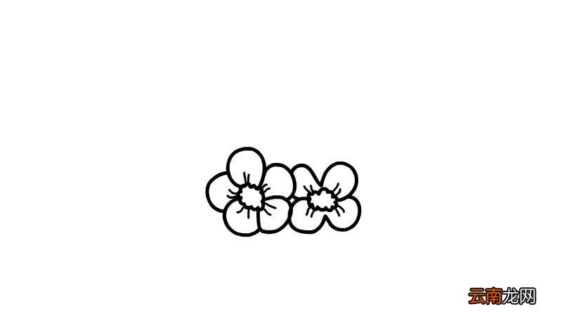 草莓和花简笔画 草莓和花简笔画怎么画