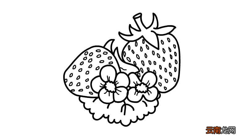 草莓和花简笔画 草莓和花简笔画怎么画