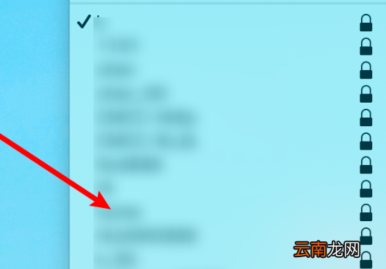 mac 公共网络不跳出网页认证