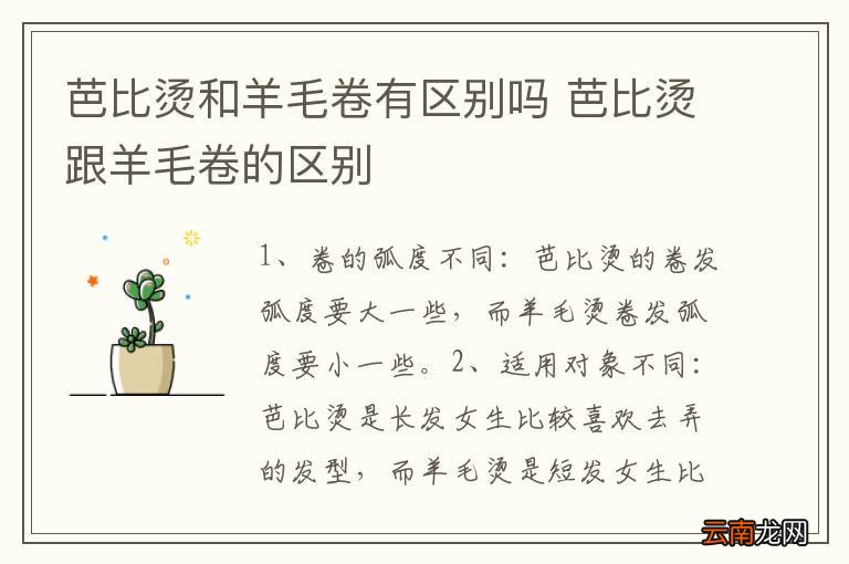 芭比烫和羊毛卷有区别吗 芭比烫跟羊毛卷的区别