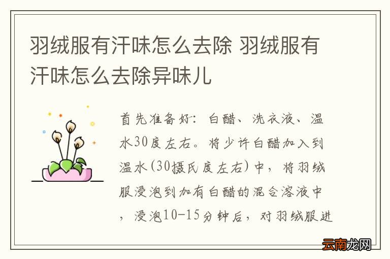 羽绒服有汗味怎么去除 羽绒服有汗味怎么去除异味儿