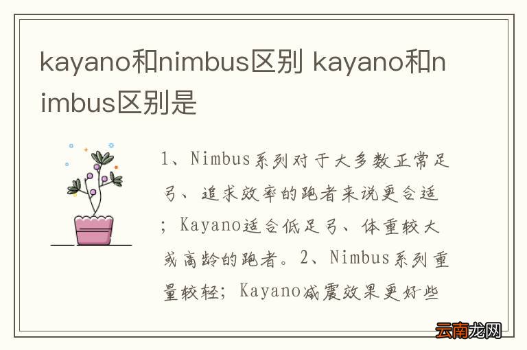 kayano和nimbus区别 kayano和nimbus区别是