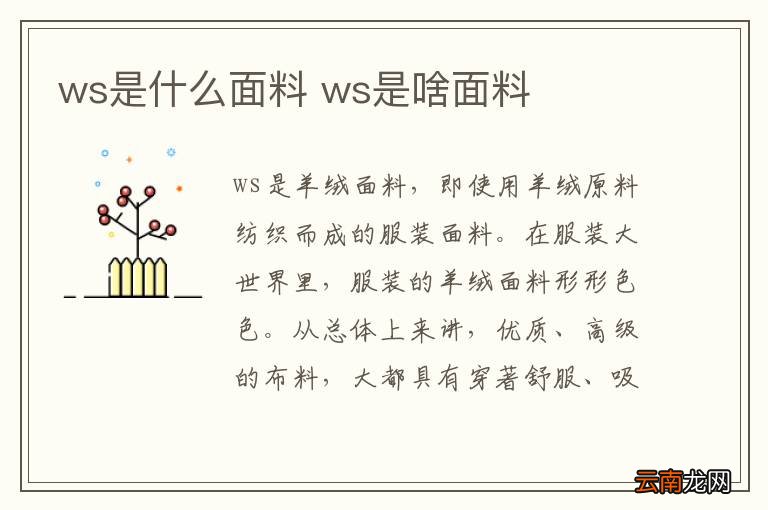 ws是什么面料 ws是啥面料