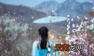 梦见花瓣雨是什么意思 梦到花瓣雨代表什么