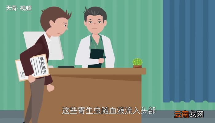吃鸭头对身体的危害 吃鸭头有何危害