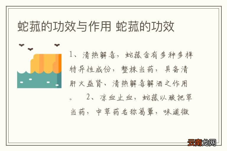蛇菰的功效与作用 蛇菰的功效