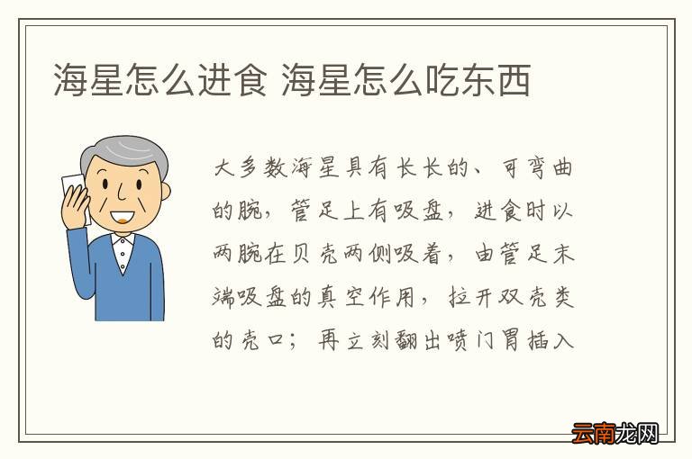 海星怎么进食 海星怎么吃东西