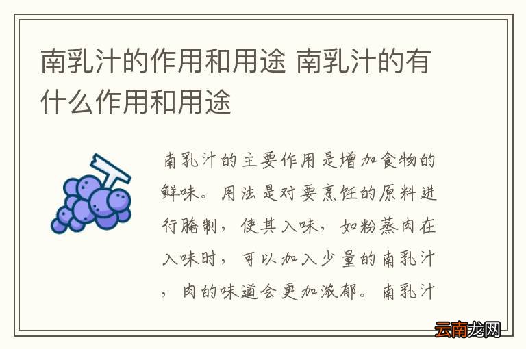 南乳汁的作用和用途 南乳汁的有什么作用和用途
