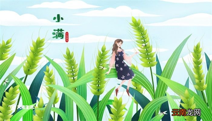 小满经典诗句 与小满有关的古诗 小满谚语