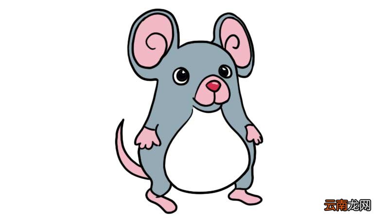 小胖鼠简笔画 小胖鼠简笔画怎么画