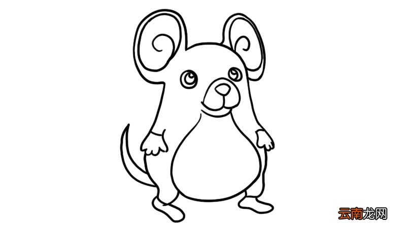 小胖鼠简笔画 小胖鼠简笔画怎么画