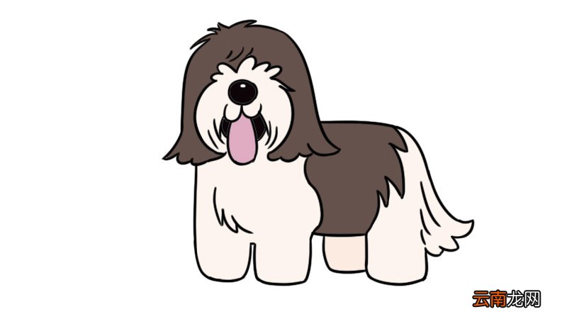 高加索犬简笔画