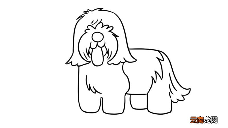高加索犬简笔画