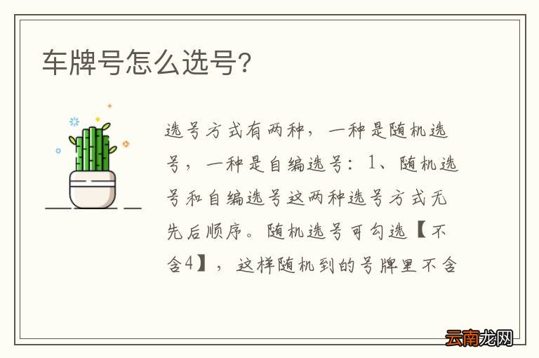 车牌号怎么选号?