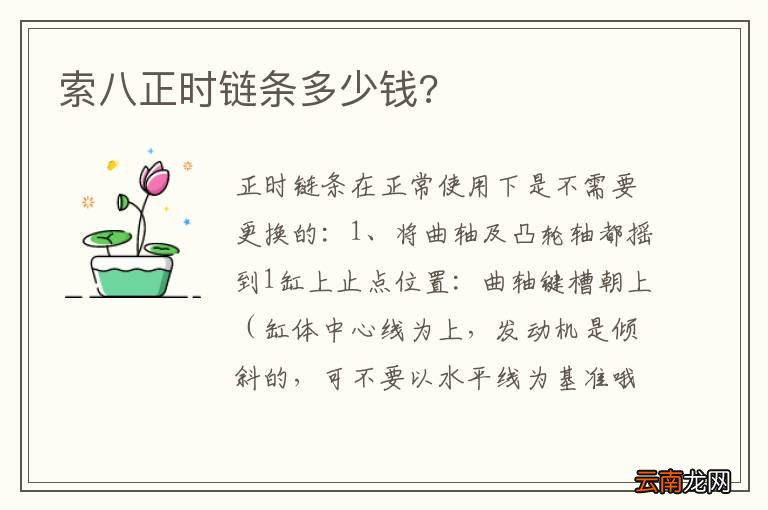 索八正时链条多少钱?