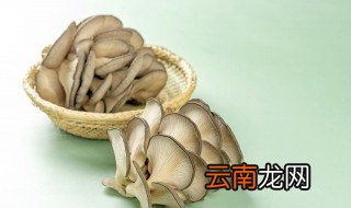 酸菜炒蘑菇怎么做 酸菜炒蘑菇的做法