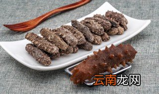 海参如何做才能去腥味 海参怎样做才能去腥味