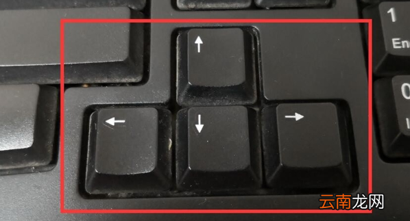新手电脑键盘功能介绍