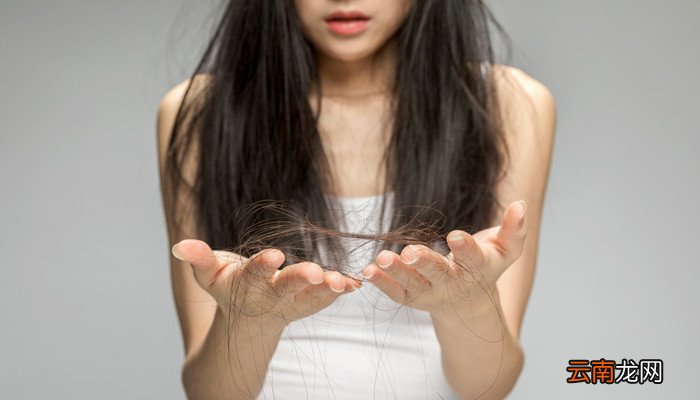 气垫烫和摩根烫的区别 气垫烫和摩根烫的区别大吗