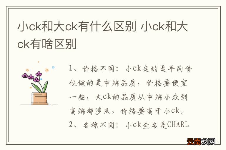 小ck和大ck有什么区别 小ck和大ck有啥区别