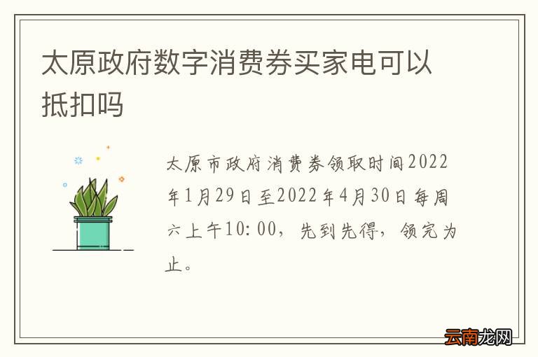 太原政府数字消费券买家电可以抵扣吗