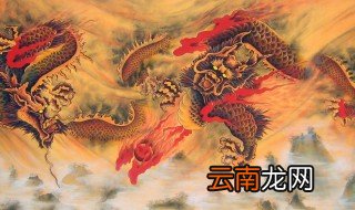 梦见龙是什么原因 新闻 预示什么